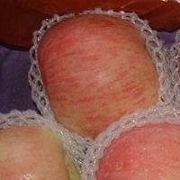 fresh fuji apple