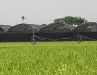 Shade Mesh for Agriculture 