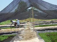 Shade Mesh for Greenhouse