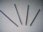 Common Nails