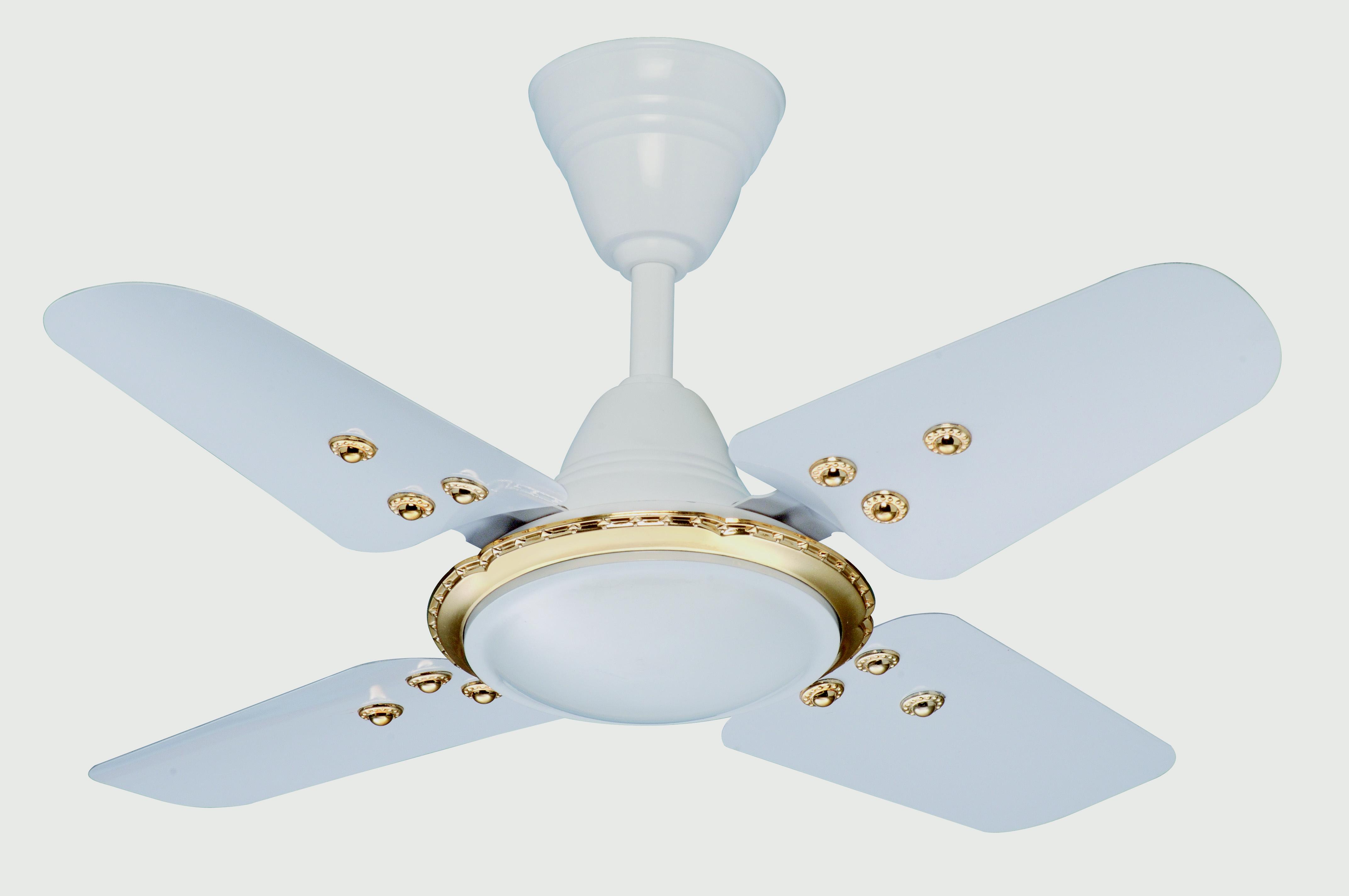 Ceiling fans