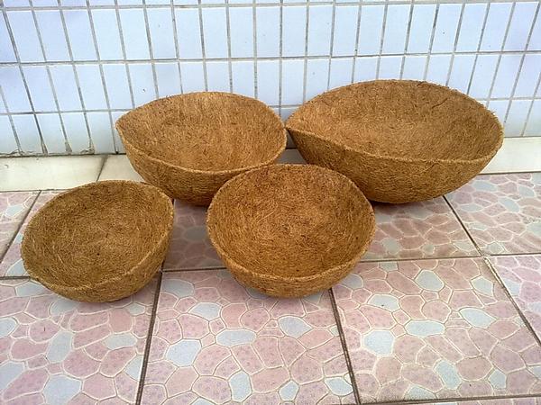  Coco Liners