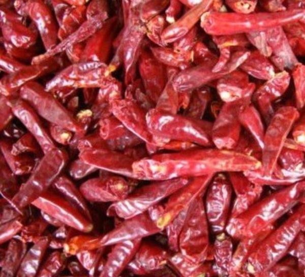 Dry Red Chilli Wonder Hot Stemless