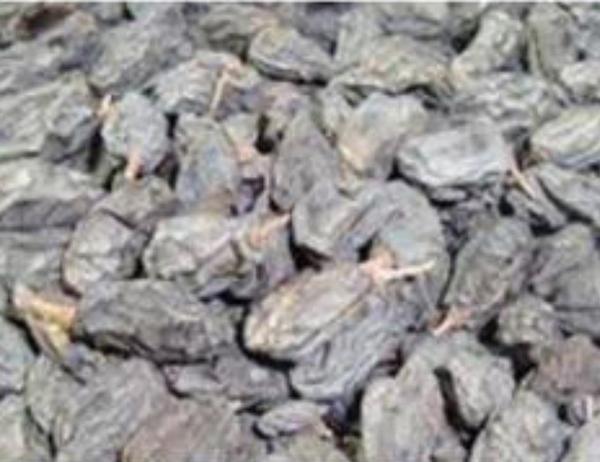Drukh Raisins