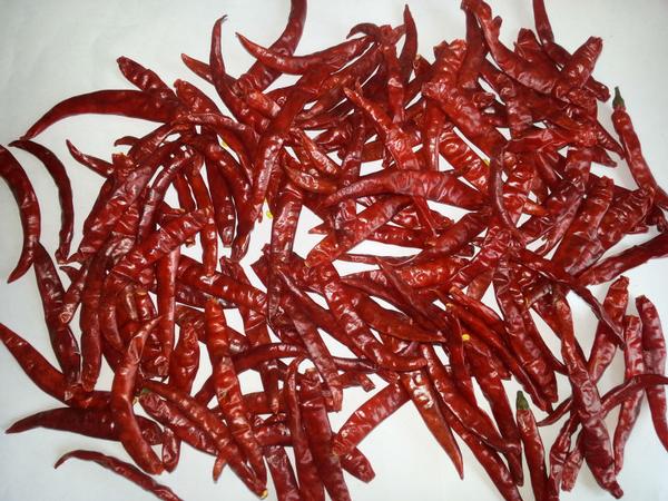 Dry red chilli: Endo 5 Stemless