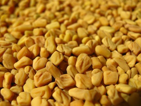Fenugreek Seeds.