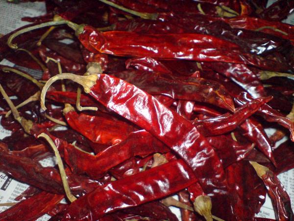  Red Dry Chili Type-273 Wrinkle With Stem