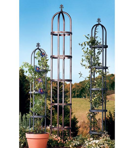 Trellies & OBelisks