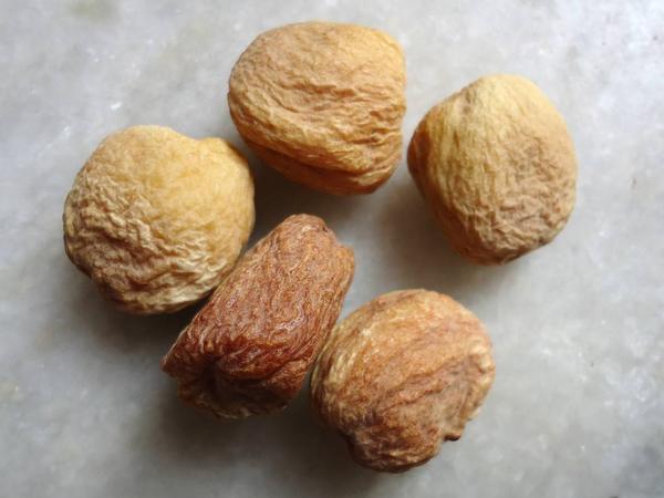 Apricot 