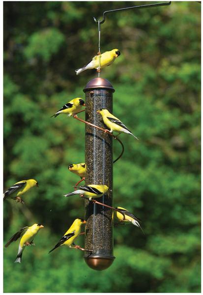 Bird Feeders