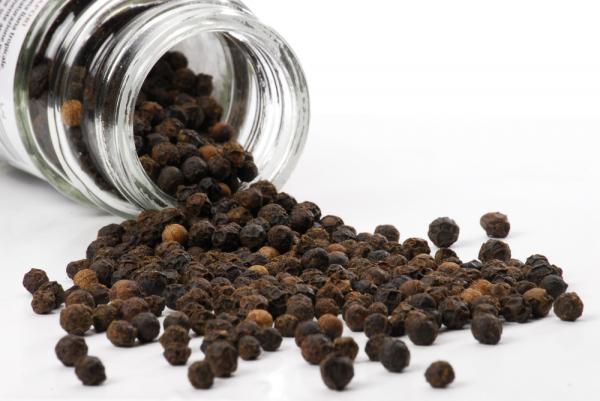 Black pepper