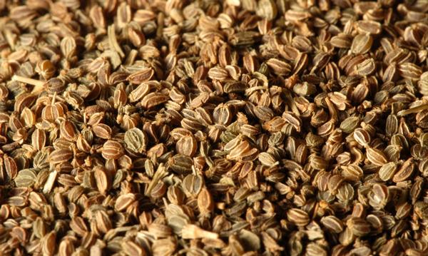 Celery Seeds