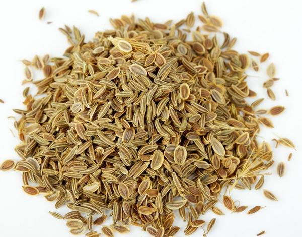 Dill Seeds.