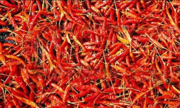 Dry Red Chilli : Yellow Chilli.