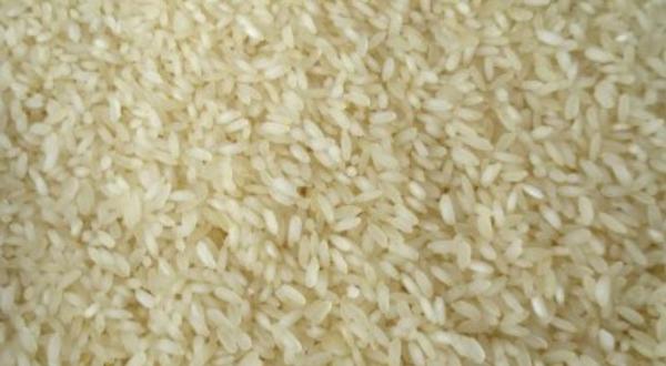  Kalsar Ponni rice
