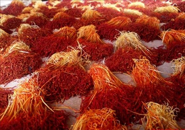 Laccha saffron