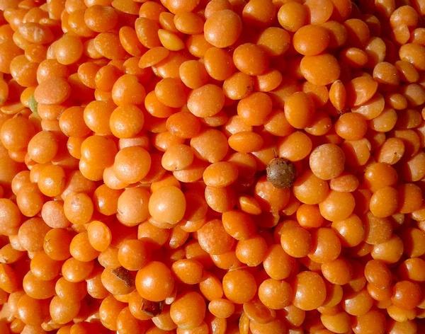 Masoor Dal