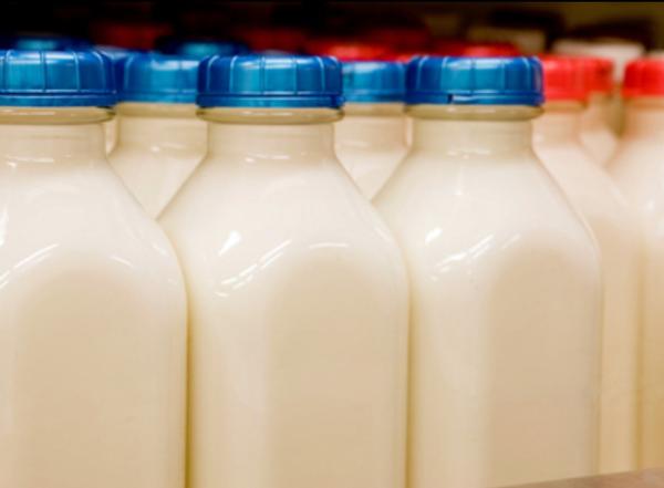  Pasteurized Milk.