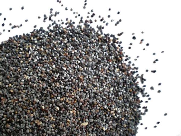 Poppy Seeds
