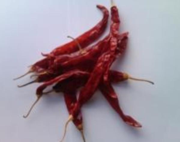 Dry Red Chilli Wonder Hot with Stem
