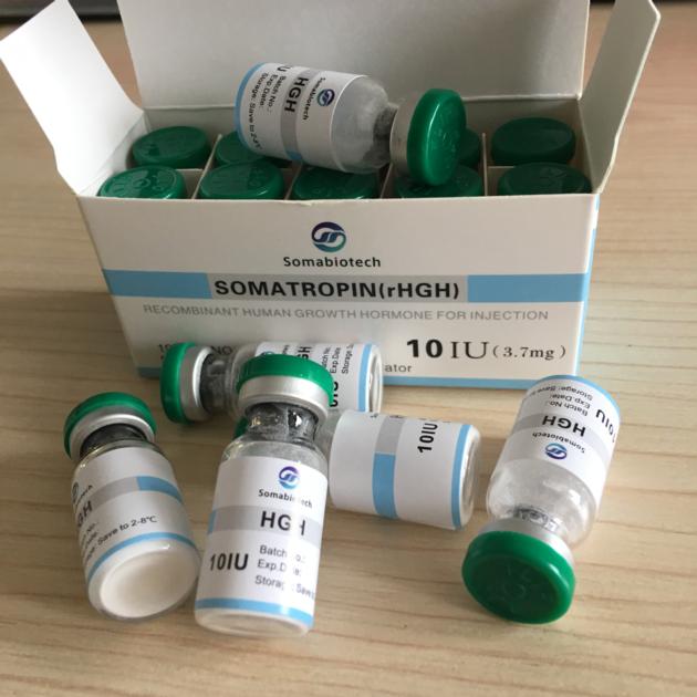 somatrophin hgh 191aa