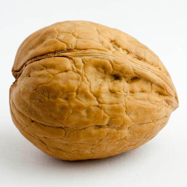 Walnut Whole