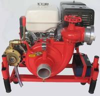 Portable fire pump