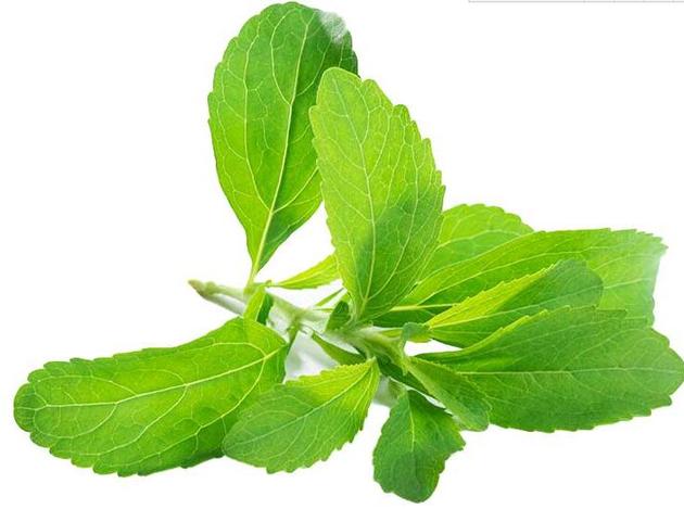 Stevia extract---New Mstar---Simin