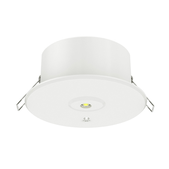 Emergency Down Light EMD1W