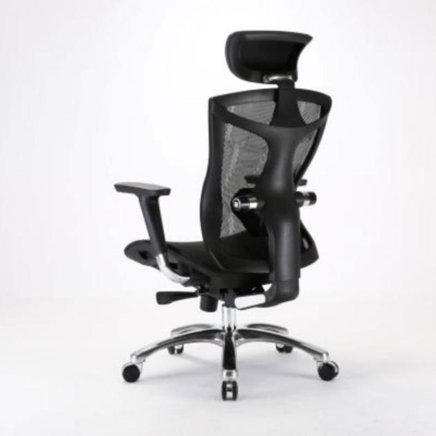 Sihoo V1 Ergonomic Comfortable and Stylish Adjustable Recliner Executive Office Chair