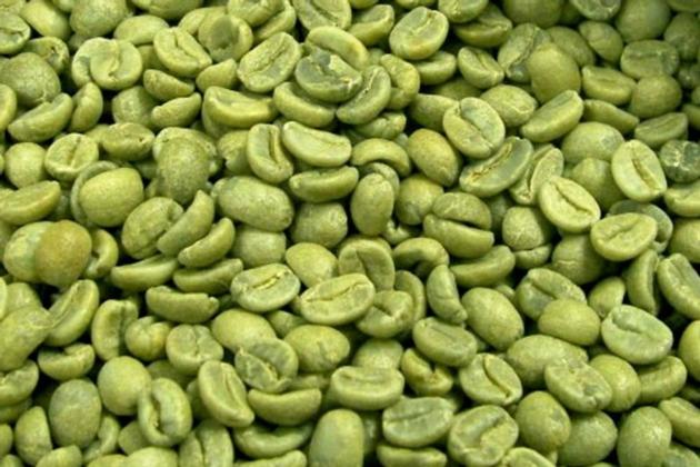 arabica green coffee bean