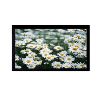 Network Digital Signage LCD Advertising Player