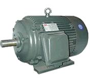 Electric Motor, Generator, Gear Motor, Explosion Protection Motor, Brake Motor,