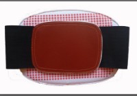 Back Support (with Far Infrared), Lumbar Support, Waist Protection