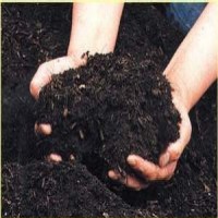 GreeNeem : Bio Compost Plant Manure