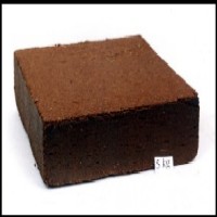 Coco peat multi purpose plant grow medium