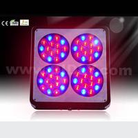 No.4 Apollo LED grow light