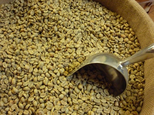 Robusta green coffee bean