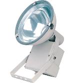Projection light