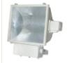 Projection light