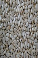 sell safflower seed