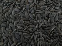 SELL BLACK SUNFLOWER SEED