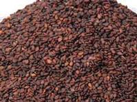 sell brown sesame seed