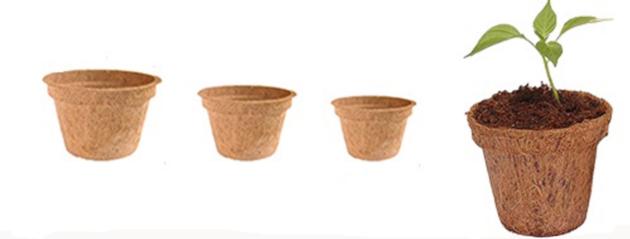 Coir Pots