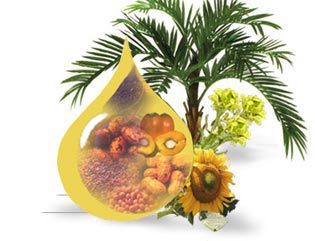 VEGETABLE OILS CONSUMPTION