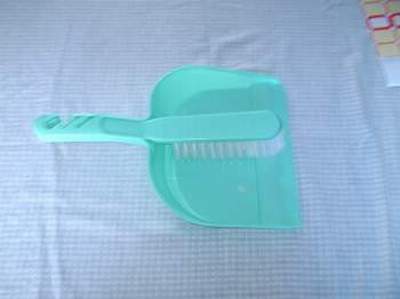 dust pan with brush