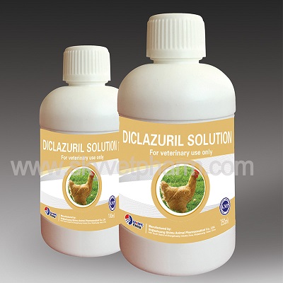 Diclazuril Solution