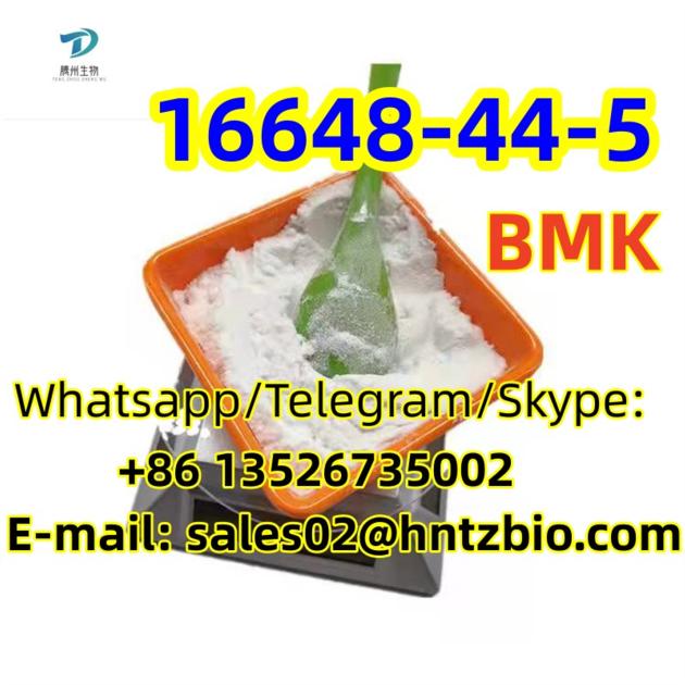 16648 44 5 BMK Methyl 2