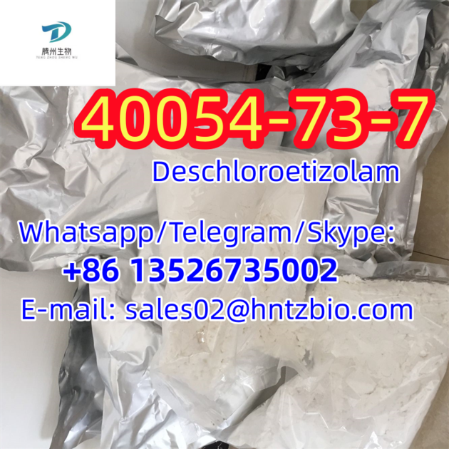 40054 73 7 Deschloroetizolam