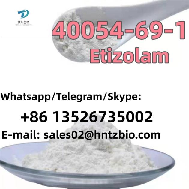 Etizolam Cas 40054 69 1